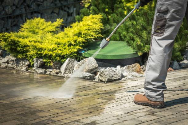 Best Boat and Dock Cleaning  in Waterflow, NM